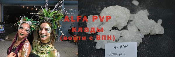 сатива Алзамай
