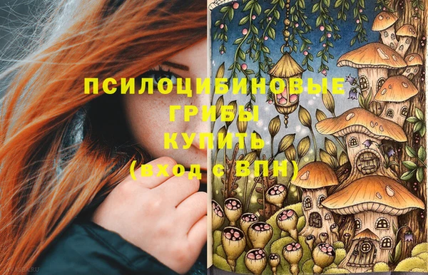 сатива Алзамай