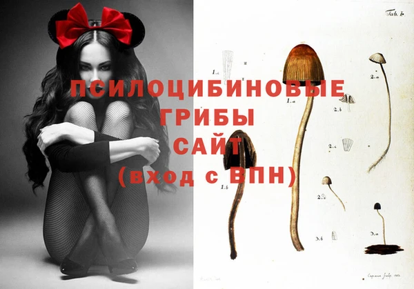 марки nbome Абаза