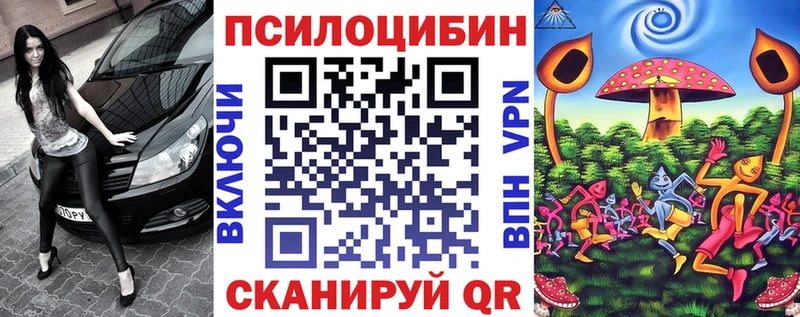блэк спрут как войти Ржев Псилоцибиновые грибы прущие грибы